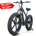 Adult Fat Tire Bicycle for Snow